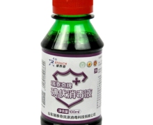 瑞泰奇牌碘伏消毒液价格对比 100ml