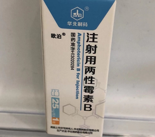 注射用两性霉素B