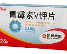青霉素V钾片价格对比 24片 哈药集团