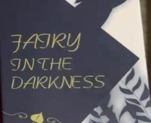 FAIRY IN THE DARKNESS怎么样？