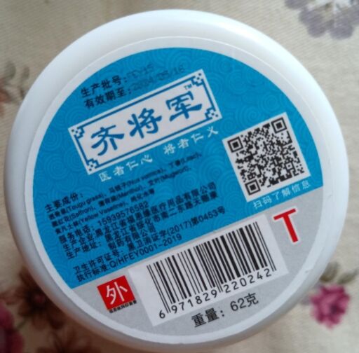 齐将军