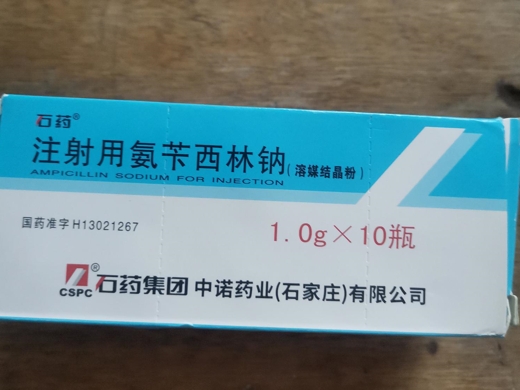 注射用氨苄西林钠