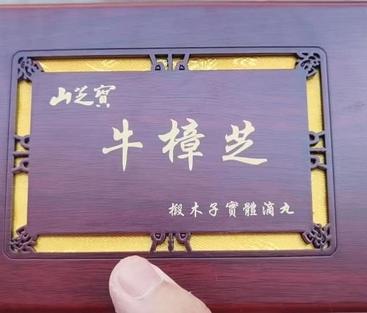 山芝寶牛樟芝椴木子實體滴丸