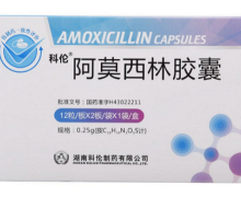 阿莫西林胶囊价格对比 24粒 科伦制药