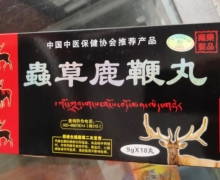 蟲草鹿鞭丸(藏药圣品)的真假？