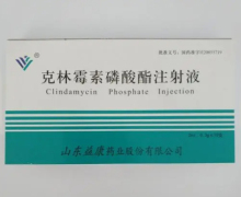 克林霉素磷酸酯注射液价格对比 10支 山东益康