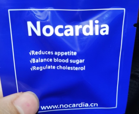 Nocardia