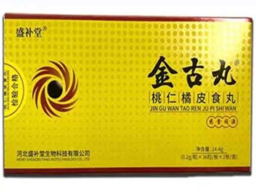 盛补堂金古丸桃仁橘皮食丸