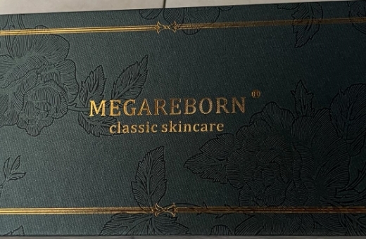 MEGAREBORN