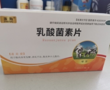浙海乳酸菌素片价格对比 36片