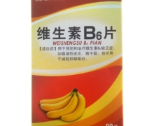 赛汗额木奇维生素B6片价格对比 90片