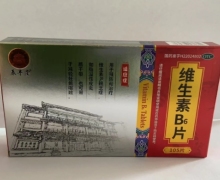 辰丰堂维生素B6片价格对比 105片