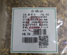 汇群堂黄芩片价格对比 500g