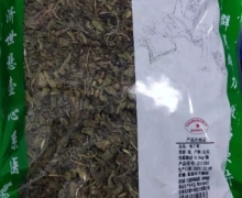 地丁草价格对比 济群中药