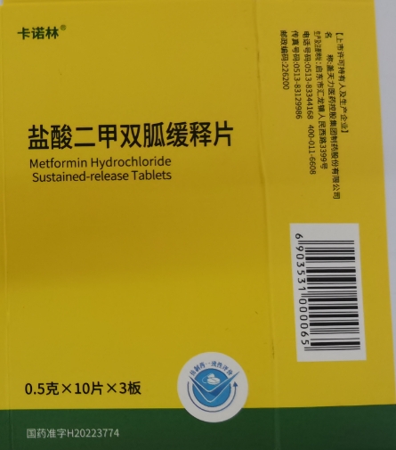 盐酸二甲双胍缓释片