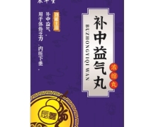 辰丰堂补中益气丸(浓缩丸)价格对比 720丸