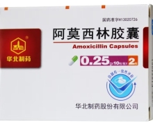 阿莫西林胶囊价格对比 20粒 华北制药