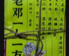 老邓一人一方是的吗？芝辛堂