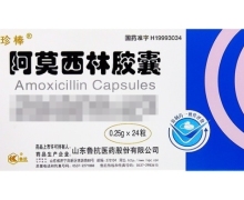 阿莫西林胶囊(珍棒)价格对比 24粒 鲁抗医药
