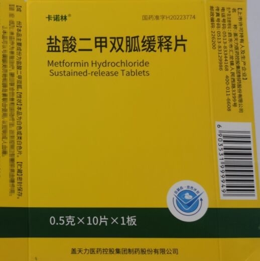 盐酸二甲双胍缓释片