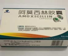 涛生医药阿莫西林胶囊价格对比 24粒