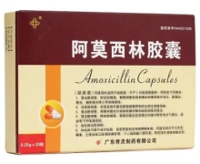 阿莫西林胶囊价格对比 20粒 广东奇灵制药