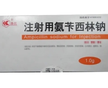 鲁抗注射用氨苄西林钠价格对比 50支