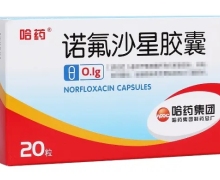 诺氟沙星胶囊价格对比 20粒 哈药制药总厂