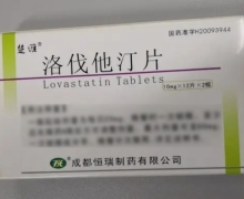 楚维洛伐他汀片价格对比