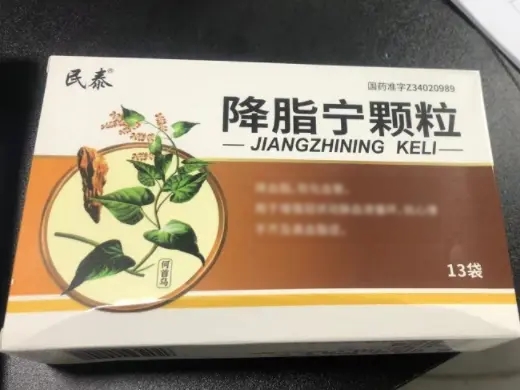 降脂宁颗粒