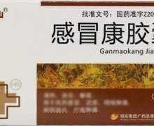 感冒康胶囊(十万山)价格对比 30粒 圣康制药