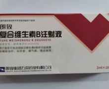 朗致复合维生素B注射液价格对比 2ml*10支