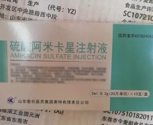 硫酸阿米卡星注射液价格对比 2ml:0.2g*10支 山东鲁抗医药