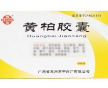 黄柏胶囊价格对比 20粒 惠州市中药厂