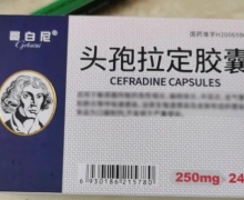 哥白尼头孢拉定胶囊价格对比 24粒 丹东市通远药业