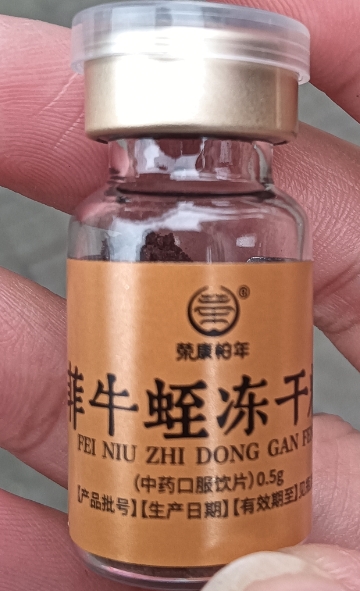 荣康柏年菲牛蛭冻干粉