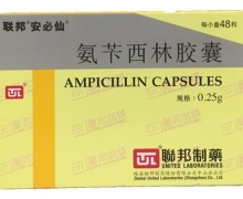 氨苄西林胶囊(安必仙)价格对比 0.25g*48粒 珠海联邦制药