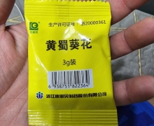 常樂閣黄蜀葵花怎么样？常乐阁