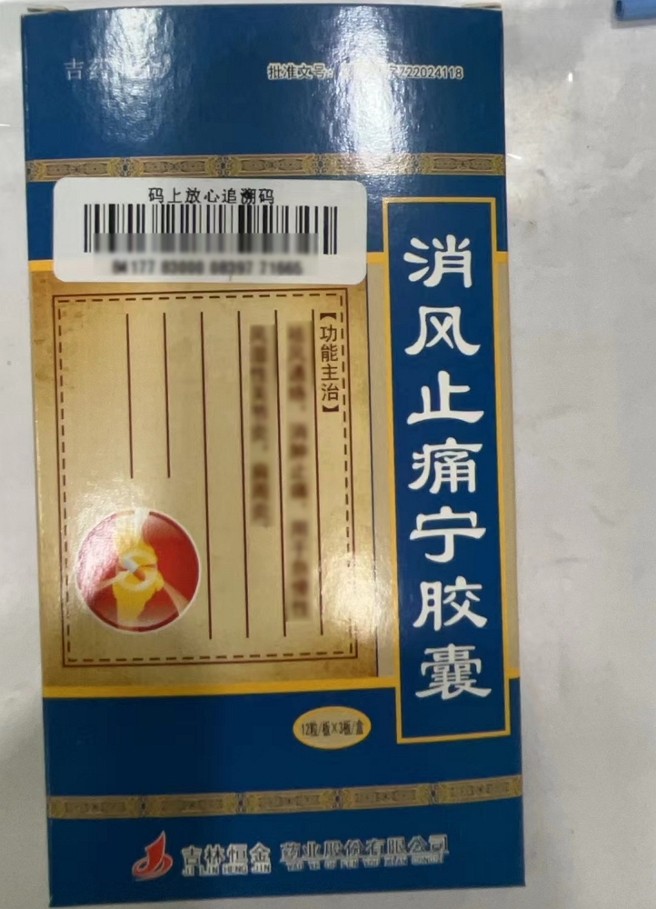 消风止痛宁胶囊