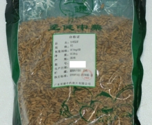 至健中药炒稻芽价格对比 500g