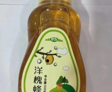 皇宫洋槐蜂蜜(尖嘴带盖)价格对比 500g