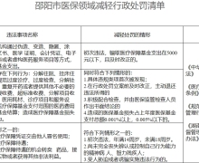 邵阳市医疗保障监管领域免罚、减罚、轻罚柔性执法三张清单