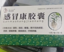 蜀汉本草感冒康胶囊价格对比 36粒