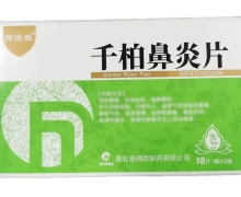 千柏鼻炎片价格对比 54片 湖北诺得胜