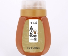 蜜栖园枣花蜂蜜价格对比 500g