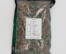 至健中药苍耳子价格对比 250g