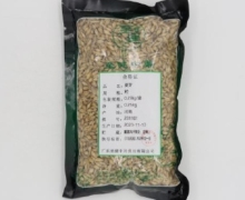 至健中药麦芽价格对比 250g