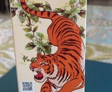 五虎草本抑菌液是真的吗？