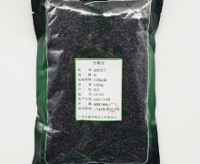 至健中药盐女贞子价格对比 250g