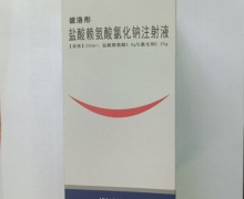 盐酸赖氨酸氯化钠注射液(彼洛彤)价格对比 250ml